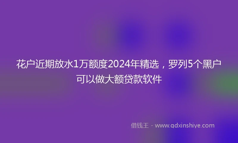 花户近期放水1万额度2024年精选，罗列5个黑户可以做大额贷款软件