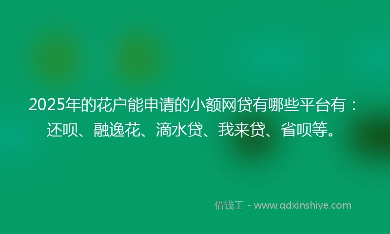 2025年的花户能申请的小额网贷有哪些平台有：还呗、融逸花、滴水贷、我来贷、省呗等。