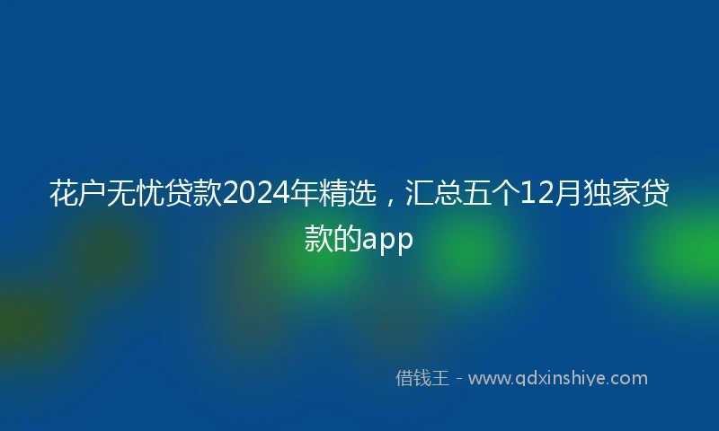 花户无忧贷款2024年精选，汇总五个12月独家贷款的app