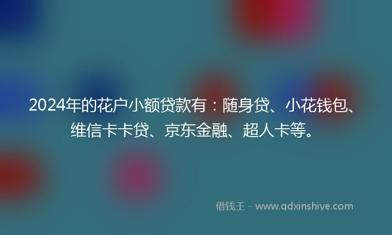 2024年的花户小额贷款有：随身贷、小花钱包、维信卡卡贷、京东金融、超人卡等。