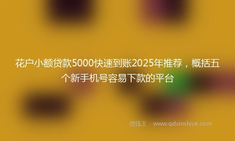 花户小额贷款5000快速到账2025年推荐，概括五个新手机号容易下款的平台