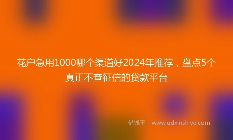 花户急用1000哪个渠道好2024年推荐，盘点5个真正不查征信的贷款平台
