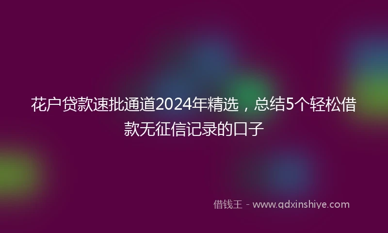 花户贷款速批通道2024年精选，总结5个轻松借款无征信记录的口子