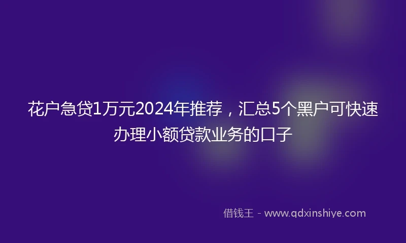 花户急贷1万元2024年推荐,汇总5个黑户可快速办理小额贷款业务的口子