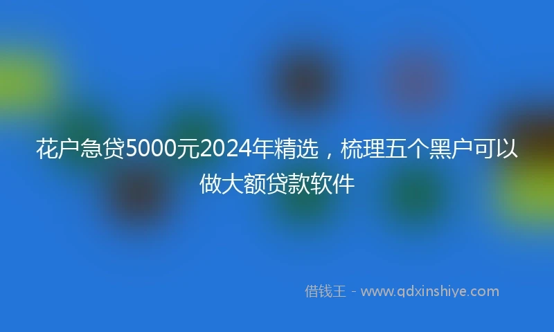 花户急贷5000元2024年精选，梳理五个黑户可以做大额贷款软件