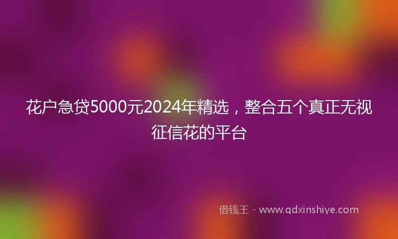 花户急贷5000元2024年精选，整合五个真正无视征信花的平台