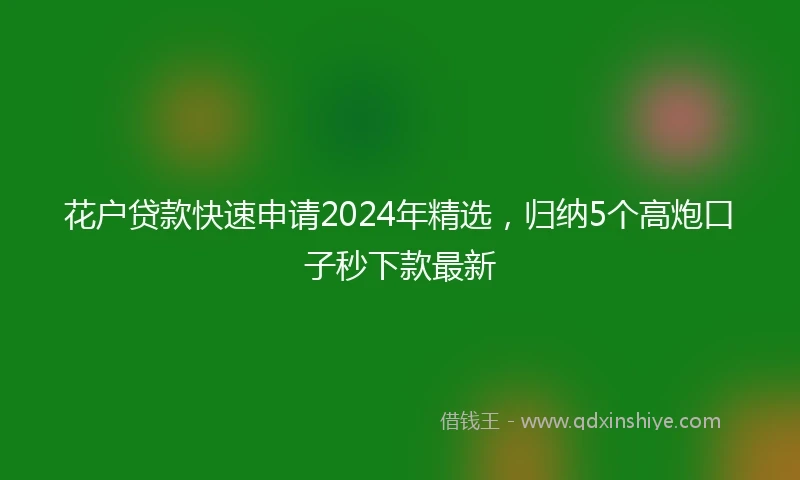 花户贷款快速申请2024年精选，归纳5个高炮口子秒下款最新