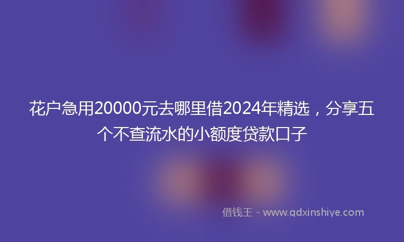 花户急用20000元去哪里借2024年精选，分享五个不查流水的小额度贷款口子