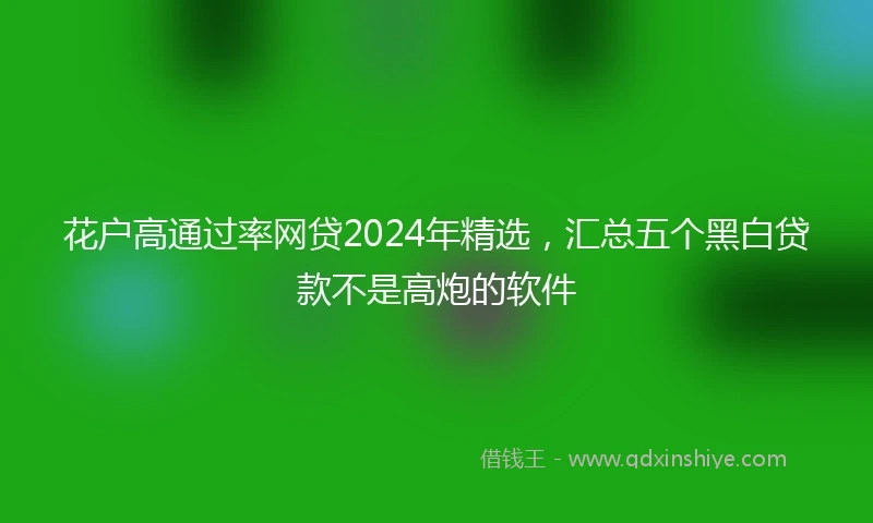 花户高通过率网贷2024年精选，汇总五个黑白贷款不是高炮的软件