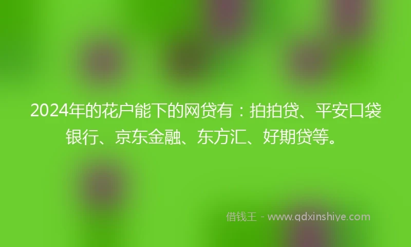 2024年的花户能下的网贷有：拍拍贷、平安口袋银行、京东金融、东方汇、好期贷等。