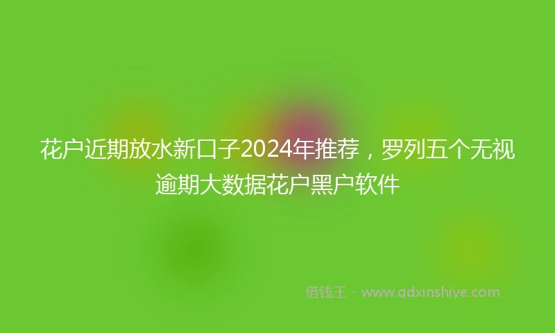 花户近期放水新口子2024年推荐，罗列五个无视逾期大数据花户黑户软件