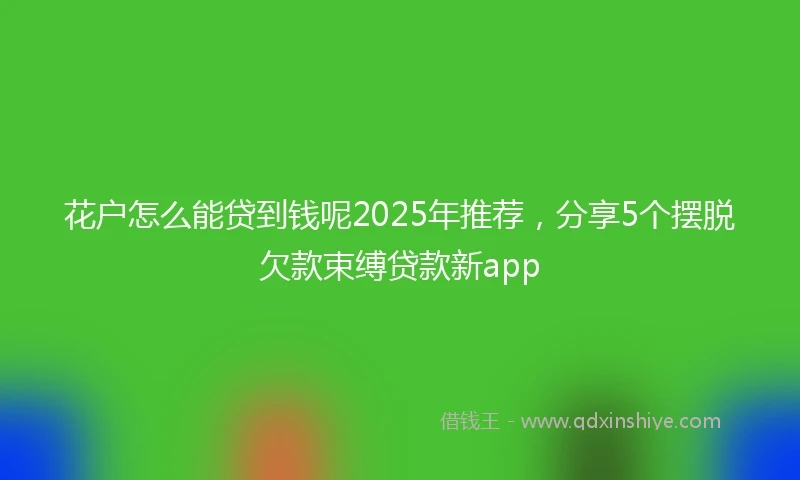 花户怎么能贷到钱呢2025年推荐，分享5个摆脱欠款束缚贷款新app