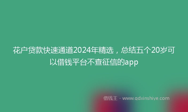 花户贷款快速通道2024年精选，总结五个20岁可以借钱平台不查征信的app