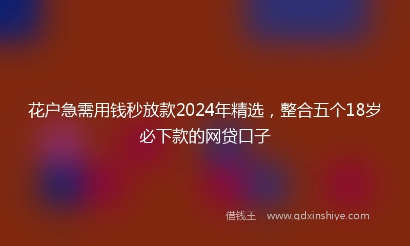 花户急需用钱秒放款2024年精选，整合五个18岁必下款的网贷口子