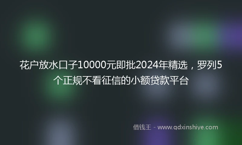 花户放水口子10000元即批2024年精选，罗列5个正规不看征信的小额贷款平台