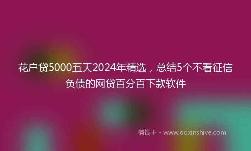 花户贷5000五天2024年精选，总结5个不看征信负债的网贷百分百下款软件