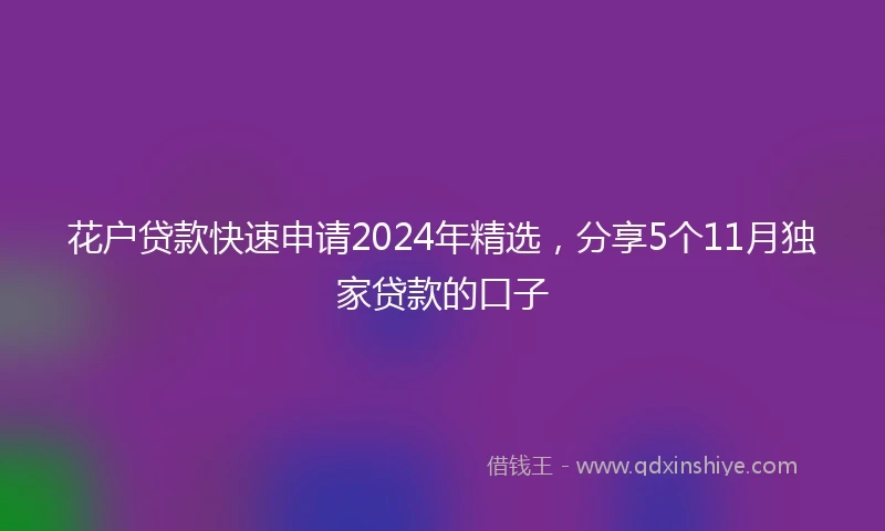 花户贷款快速申请2024年精选，分享5个11月独家贷款的口子