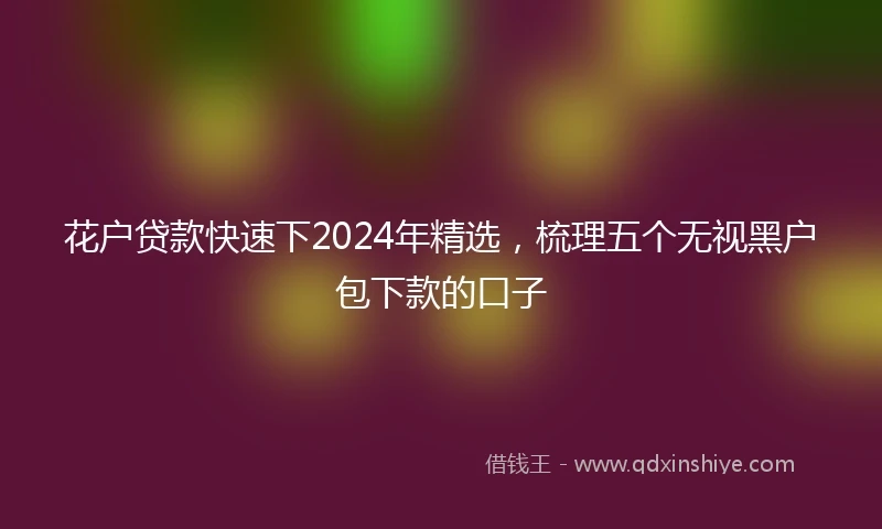 花户贷款快速下2024年精选，梳理五个无视黑户包下款的口子