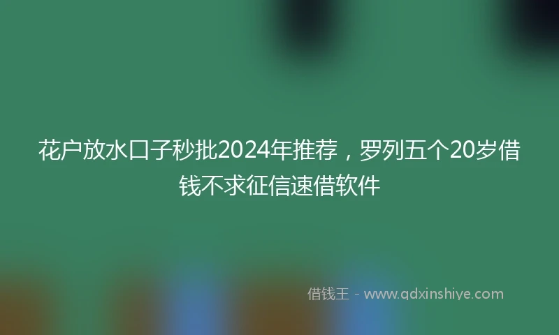 花户放水口子秒批2024年推荐，罗列五个20岁借钱不求征信速借软件