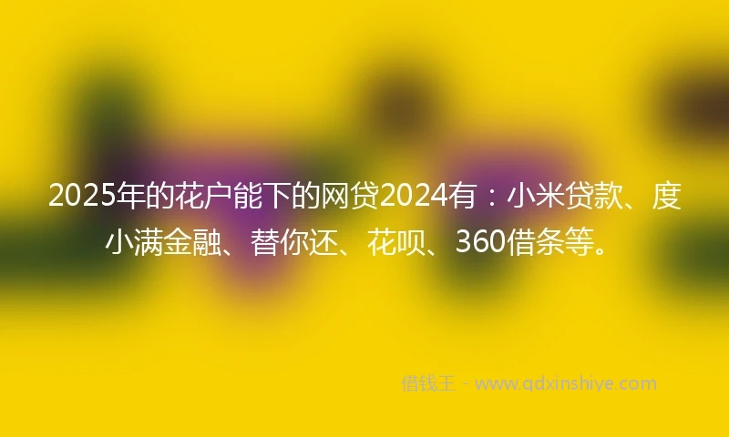2025年的花户能下的网贷2024有：小米贷款、度小满金融、替你还、花呗、360借条等。