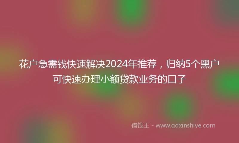 花户急需钱快速解决2024年推荐，归纳5个黑户可快速办理小额贷款业务的口子