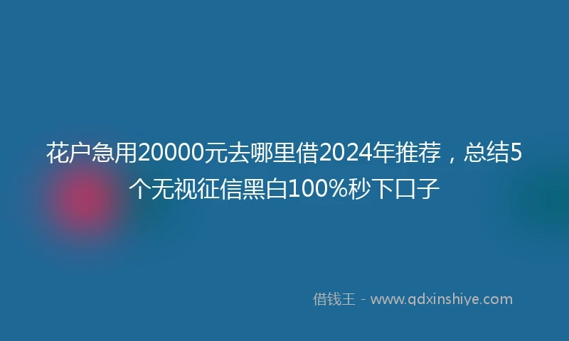 花户急用20000元去哪里借2024年推荐，总结5个无视征信黑白100%秒下口子
