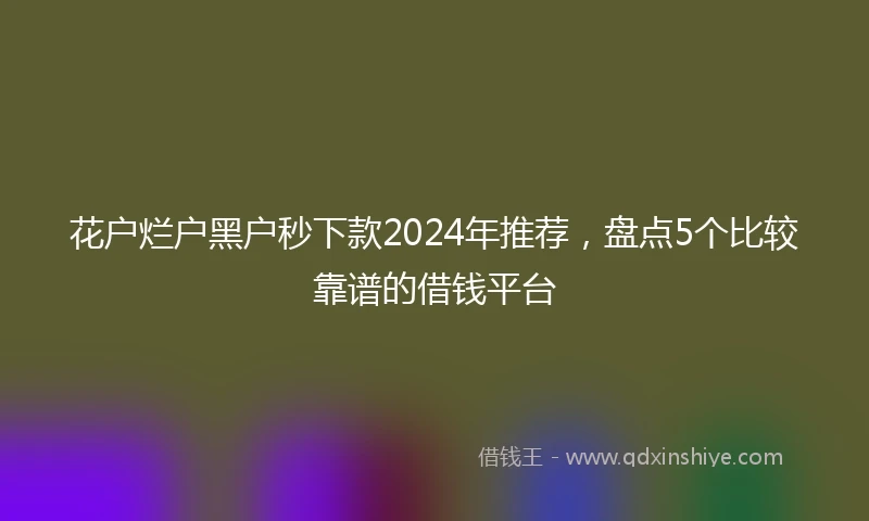 花户烂户黑户秒下款2024年推荐，盘点5个比较靠谱的借钱平台