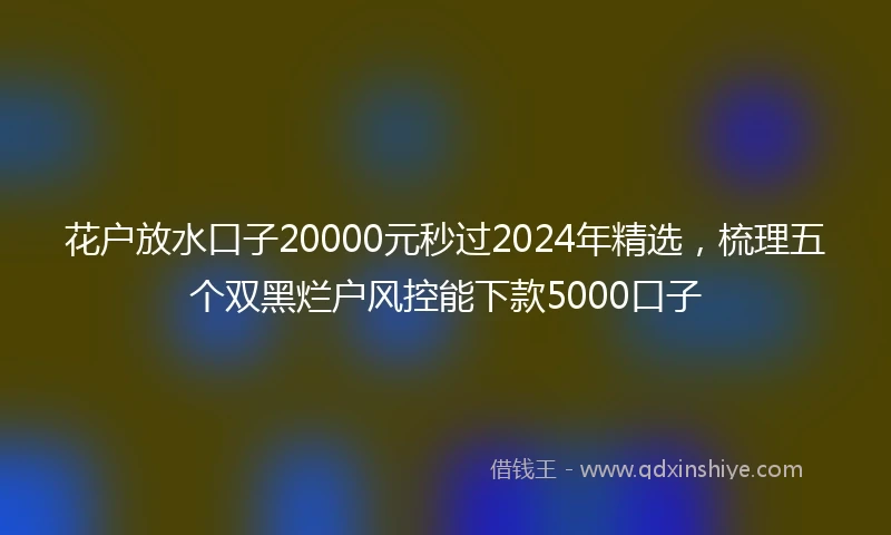 花户放水口子20000元秒过2024年精选，梳理五个双黑烂户风控能下款5000口子
