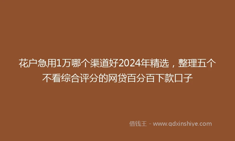 花户急用1万哪个渠道好2024年精选，整理五个不看综合评分的网贷百分百下款口子