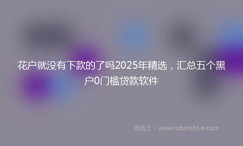 花户就没有下款的了吗2025年精选，汇总五个黑户0门槛贷款软件
