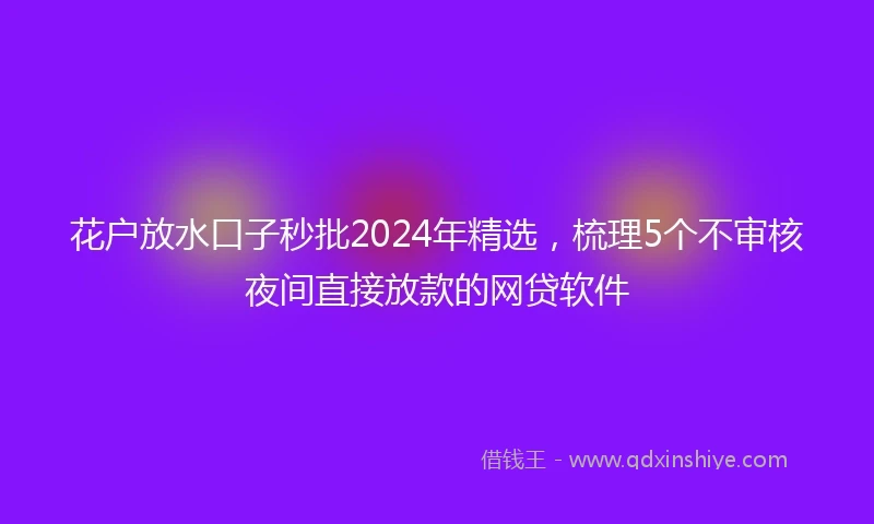 花户放水口子秒批2024年精选，梳理5个不审核夜间直接放款的网贷软件