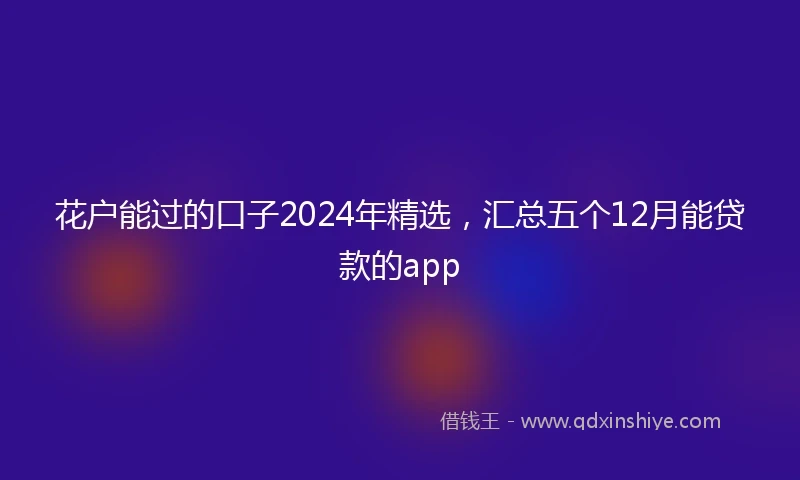 花户能过的口子2024年精选，汇总五个12月能贷款的app