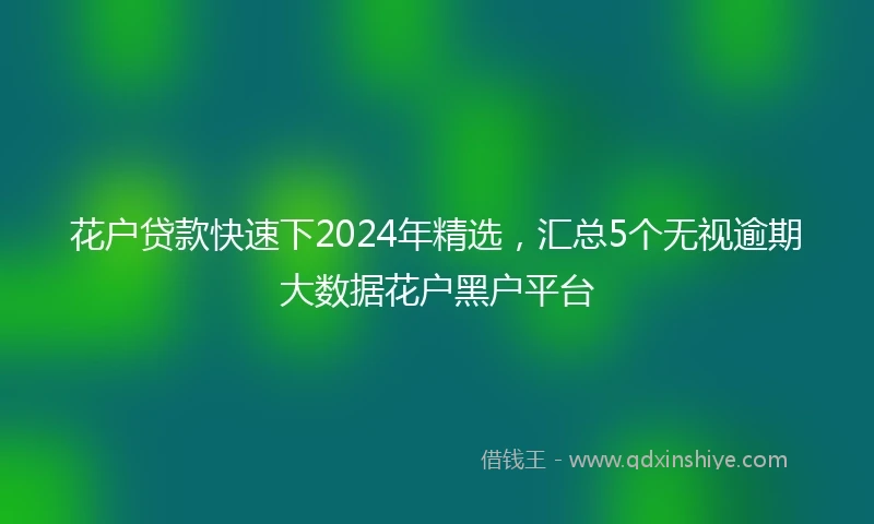 花户贷款快速下2024年精选，汇总5个无视逾期大数据花户黑户平台