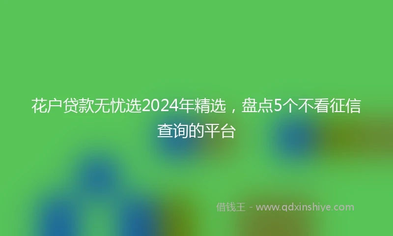 花户贷款无忧选2024年精选，盘点5个不看征信查询的平台