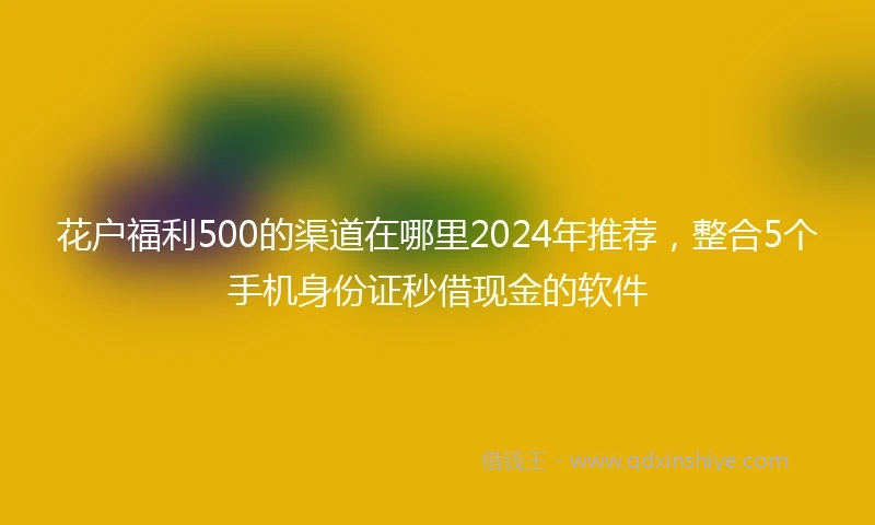 花户福利500的渠道在哪里2024年推荐，整合5个手机身份证秒借现金的软件