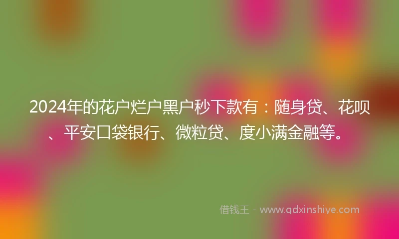 2024年的花户烂户黑户秒下款有：随身贷、花呗、平安口袋银行、微粒贷、度小满金融等。