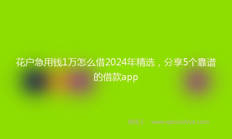 花户急用钱1万怎么借2024年精选，分享5个靠谱的借款app
