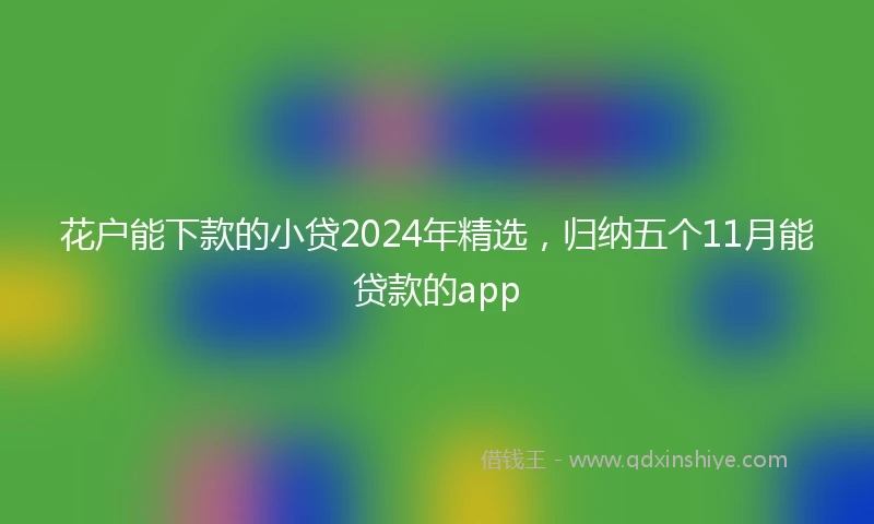 花户能下款的小贷2024年精选，归纳五个11月能贷款的app