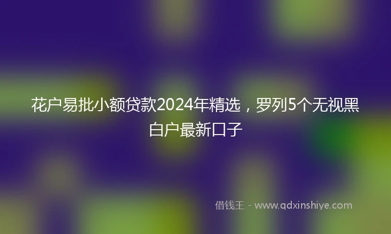 花户易批小额贷款2024年精选，罗列5个无视黑白户最新口子