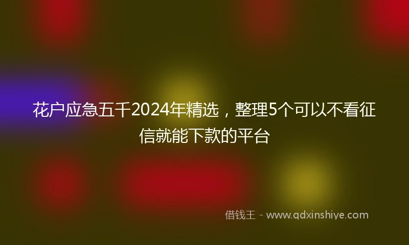 花户应急五千2024年精选，整理5个可以不看征信就能下款的平台