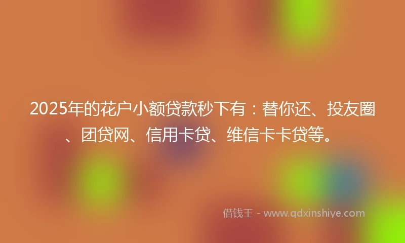 2025年的花户小额贷款秒下有：替你还、投友圈、团贷网、信用卡贷、维信卡卡贷等。
