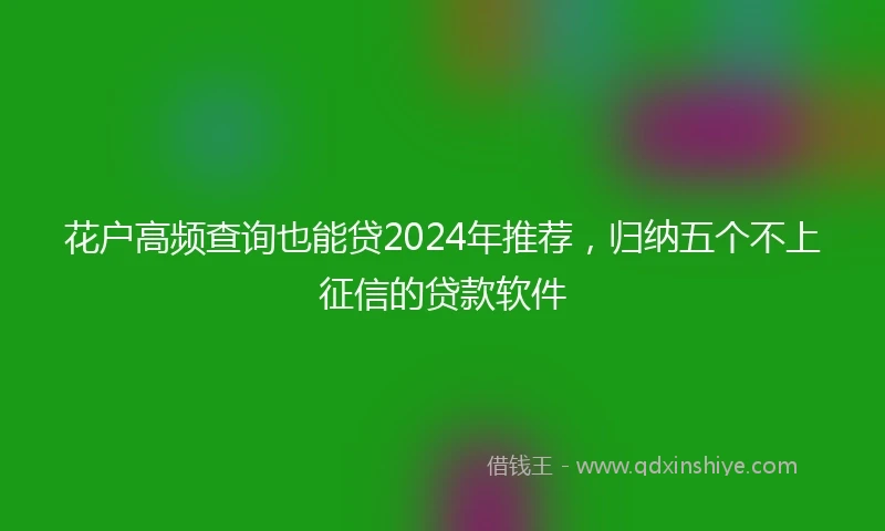 花户高频查询也能贷2024年推荐，归纳五个不上征信的贷款软件