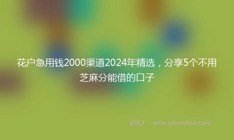 花户急用钱2000渠道2024年精选，分享5个不用芝麻分能借的口子