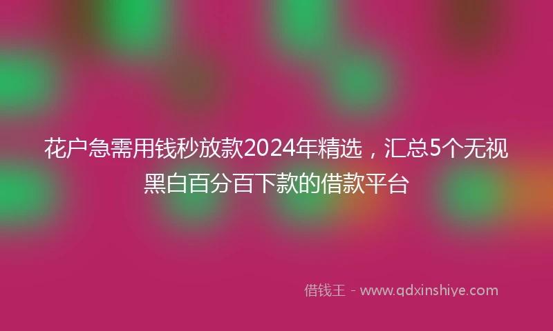 花户急需用钱秒放款2024年精选，汇总5个无视黑白百分百下款的借款平台