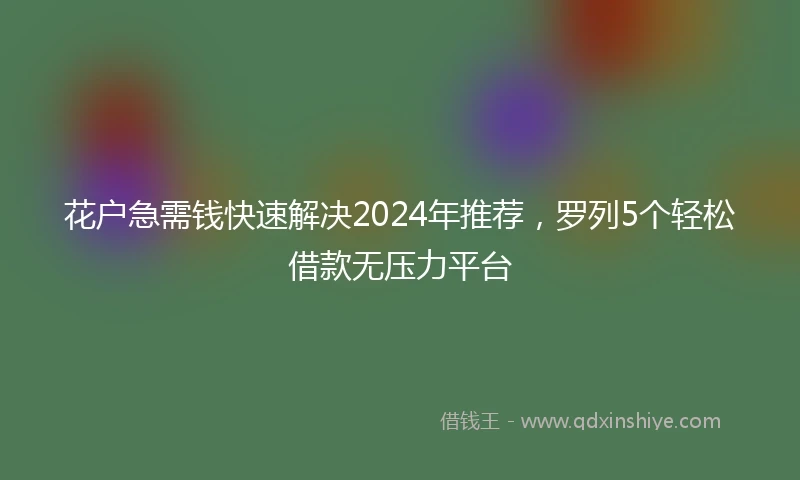 花户急需钱快速解决2024年推荐，罗列5个轻松借款无压力平台