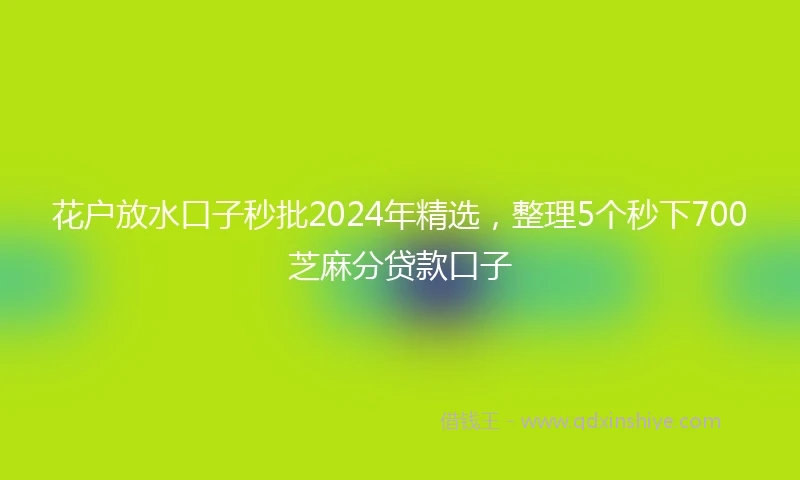 花户放水口子秒批2024年精选，整理5个秒下700芝麻分贷款口子