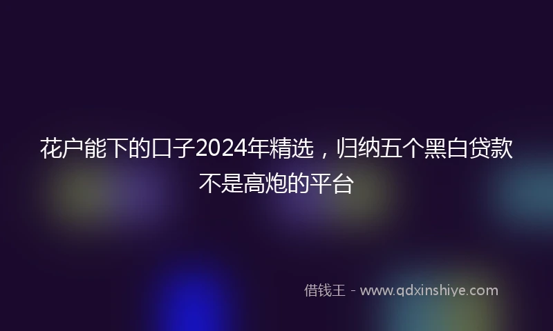 花户能下的口子2024年精选，归纳五个黑白贷款不是高炮的平台