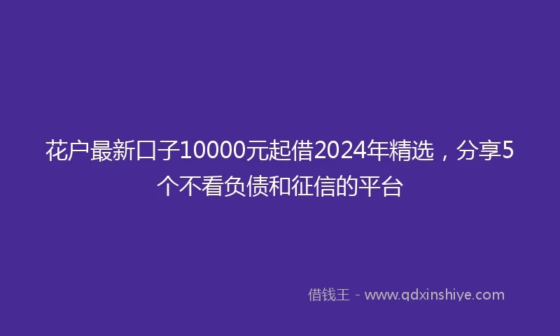 花户最新口子10000元起借2024年精选，分享5个不看负债和征信的平台