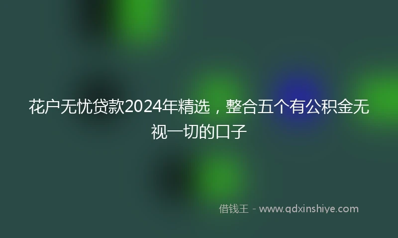 花户无忧贷款2024年精选，整合五个有公积金无视一切的口子