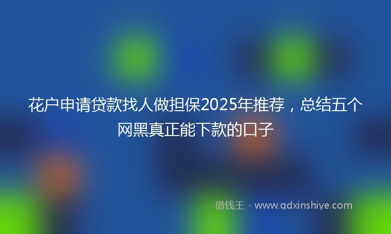 花户申请贷款找人做担保2025年推荐，总结五个网黑真正能下款的口子